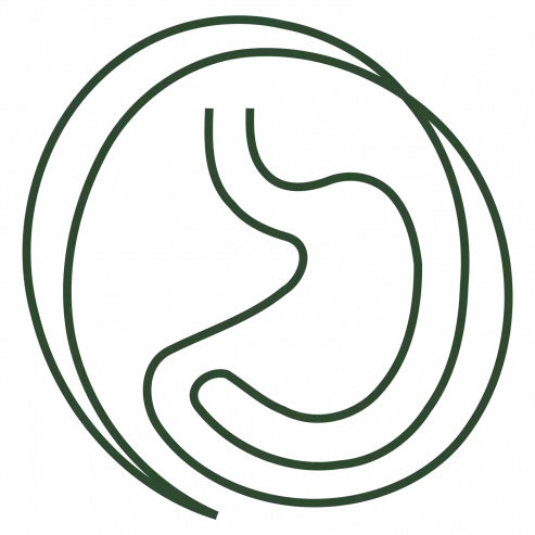 Logo Die Bauchpraxis Baden Logo Die Bauchpraxis Baden